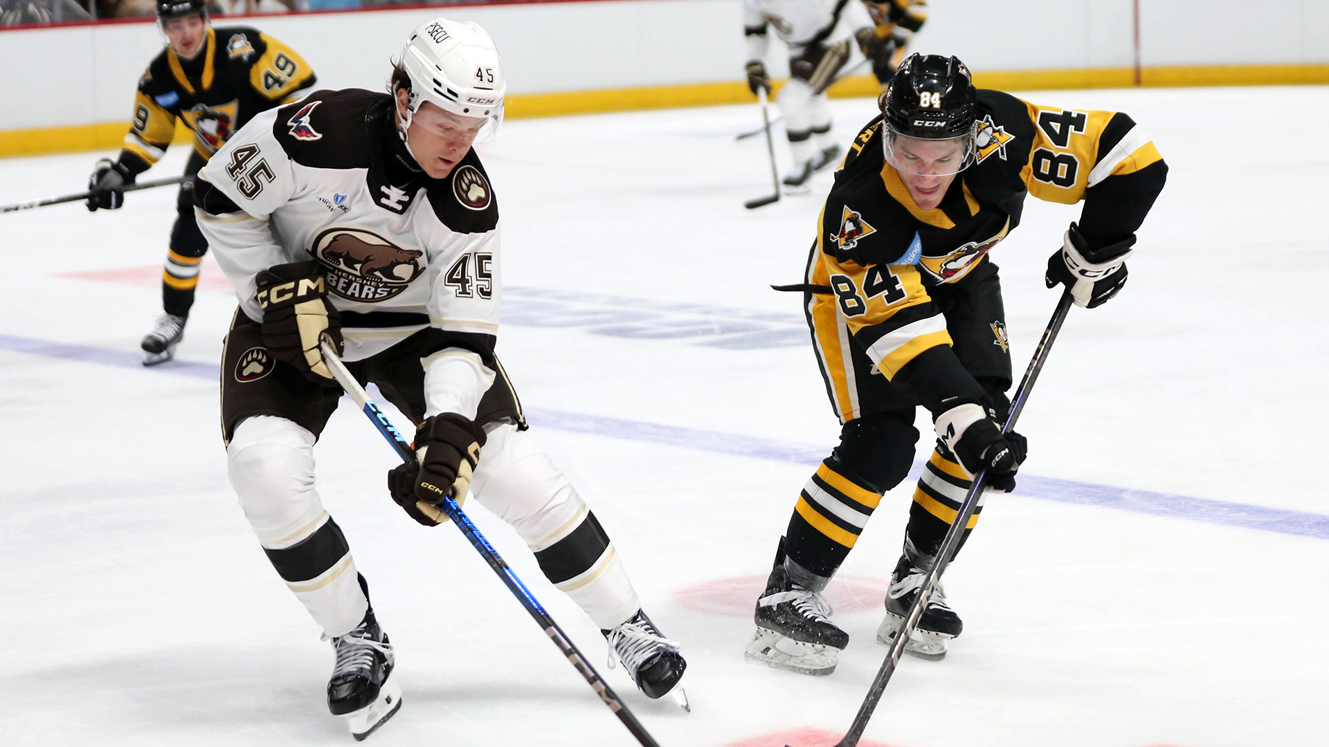 PENGUINS LOSE TO BEARS IN OVERTIME, 4-3