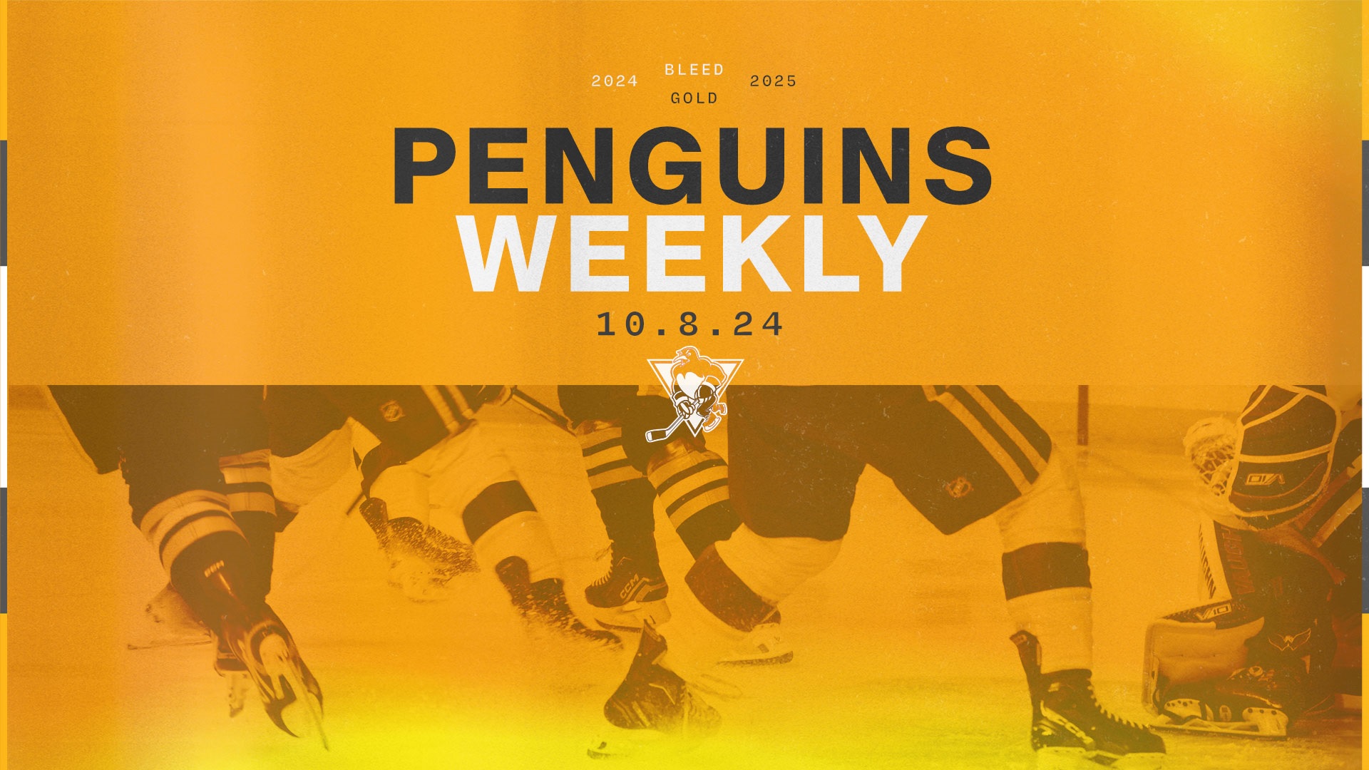 PENGUINS WEEKLY – 10/8/24