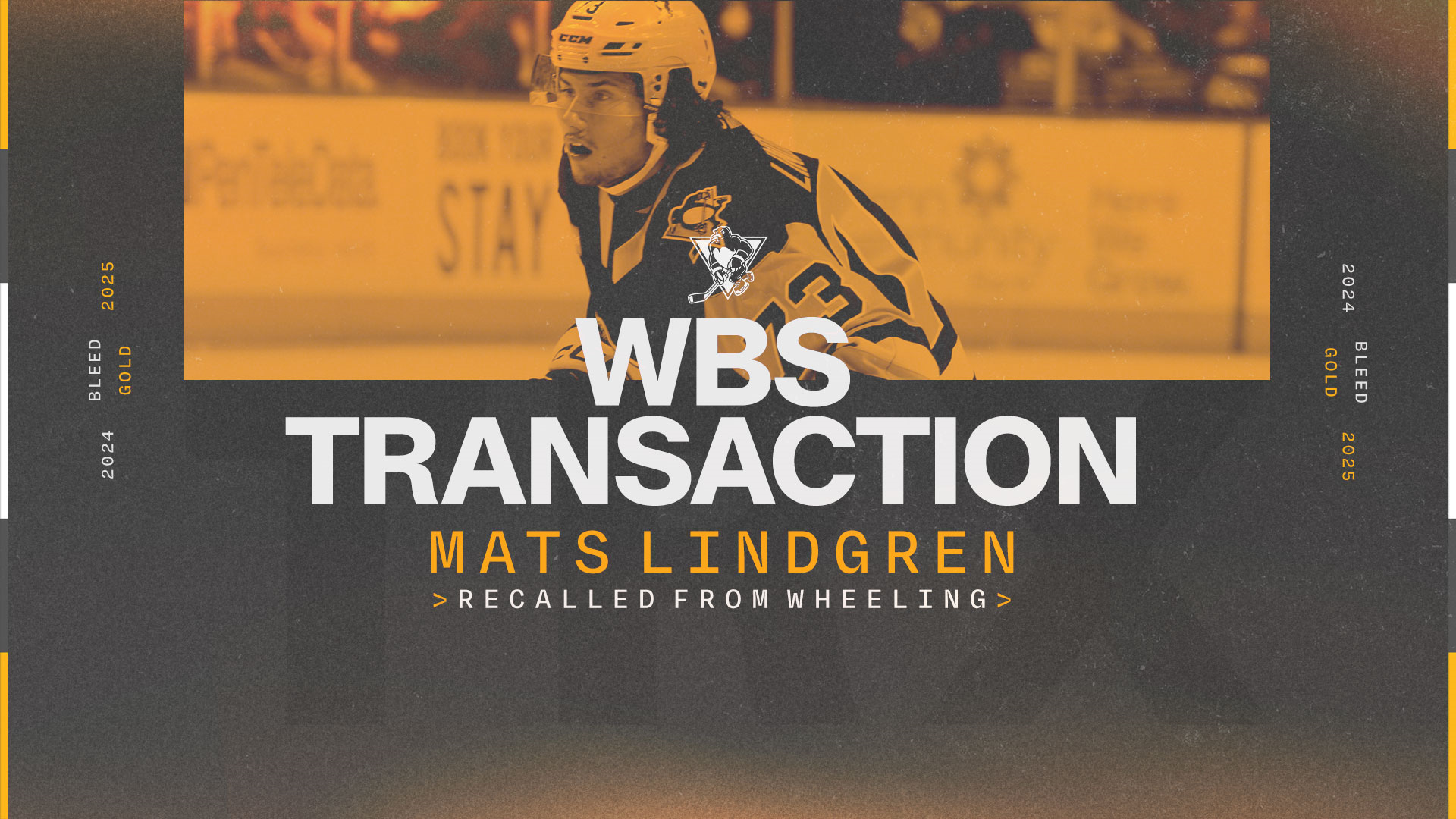 PENGUINS RECALL MATS LINDGREN FROM NAILERS