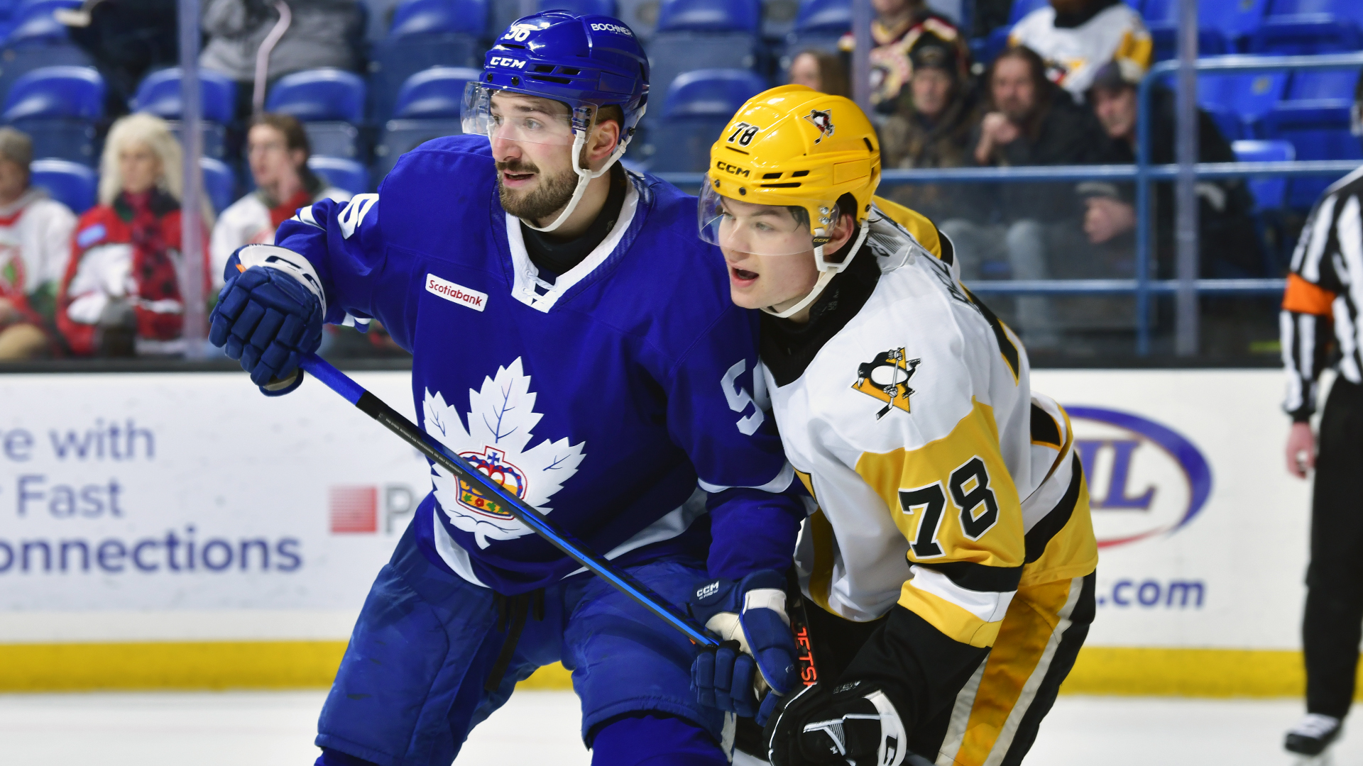 MARLIES, MURRAY SHUT-OUT PENGUINS, 3-0