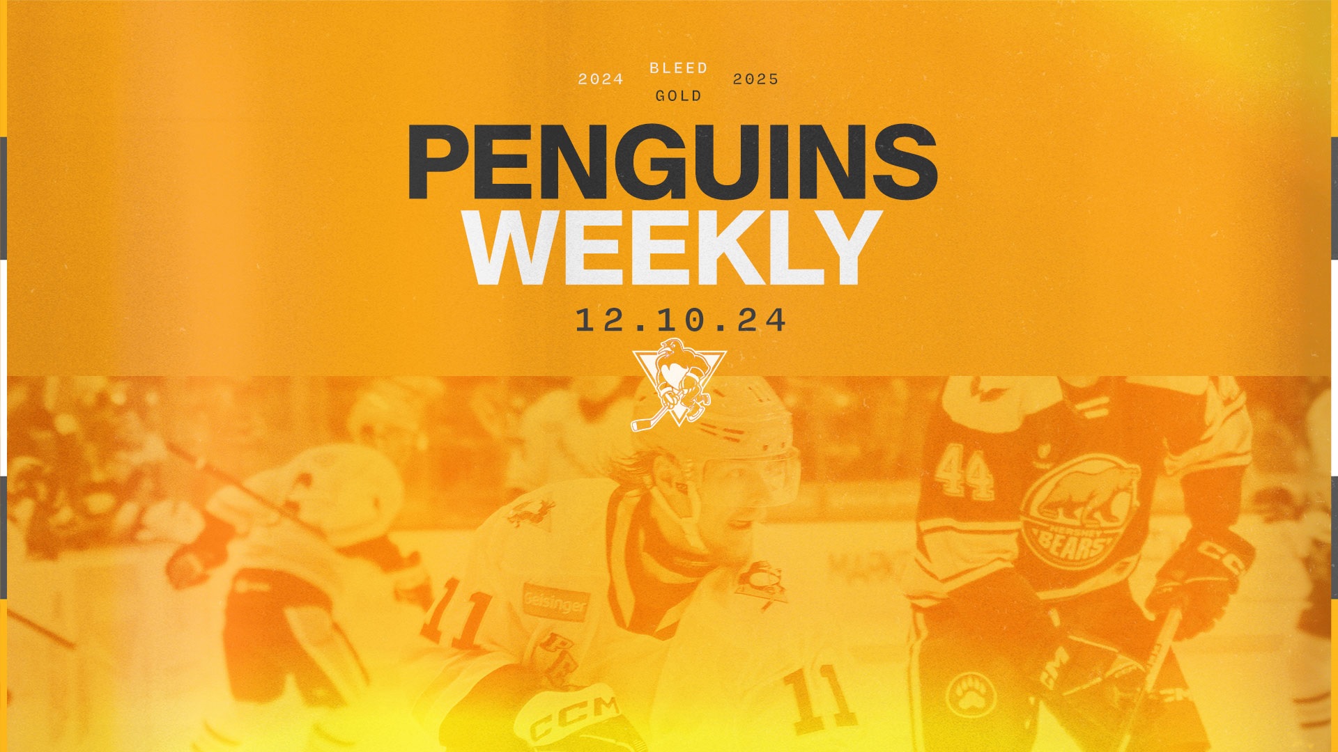 PENGUINS WEEKLY – 12/10/24