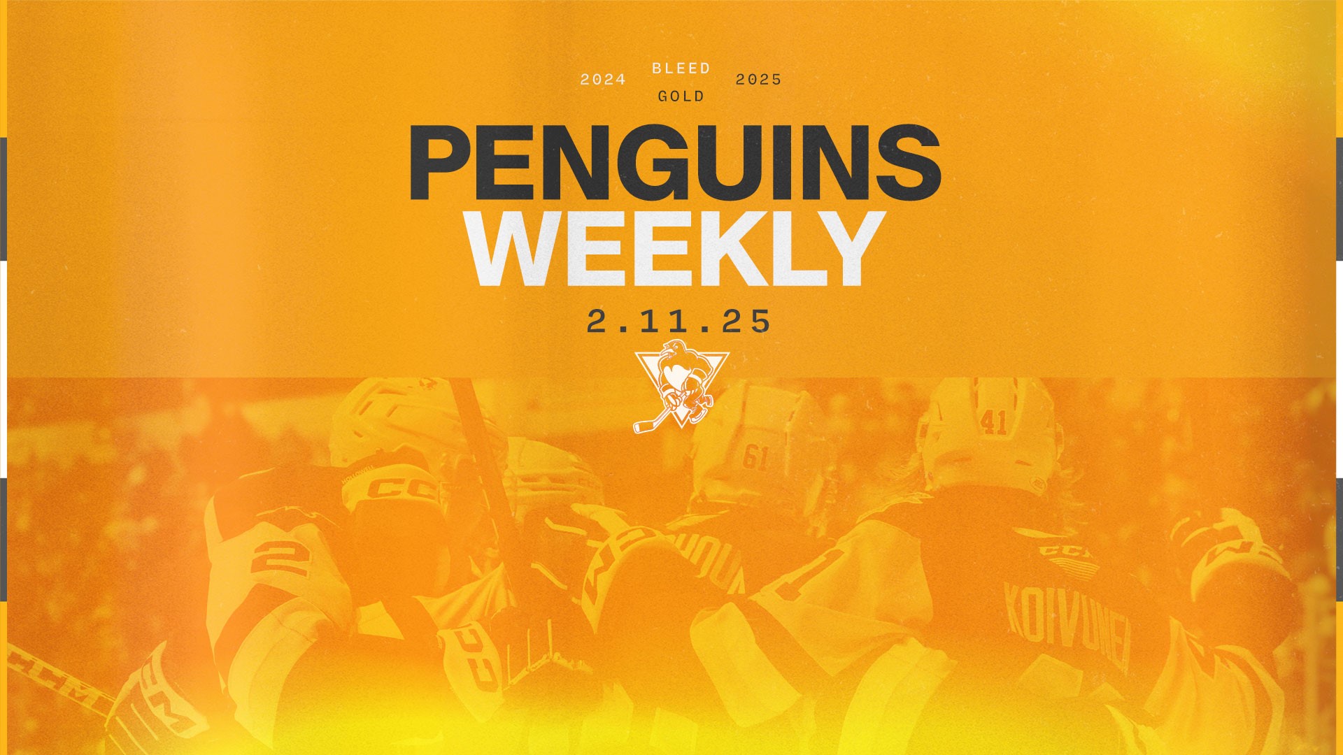 PENGUINS WEEKLY – 2/11/25