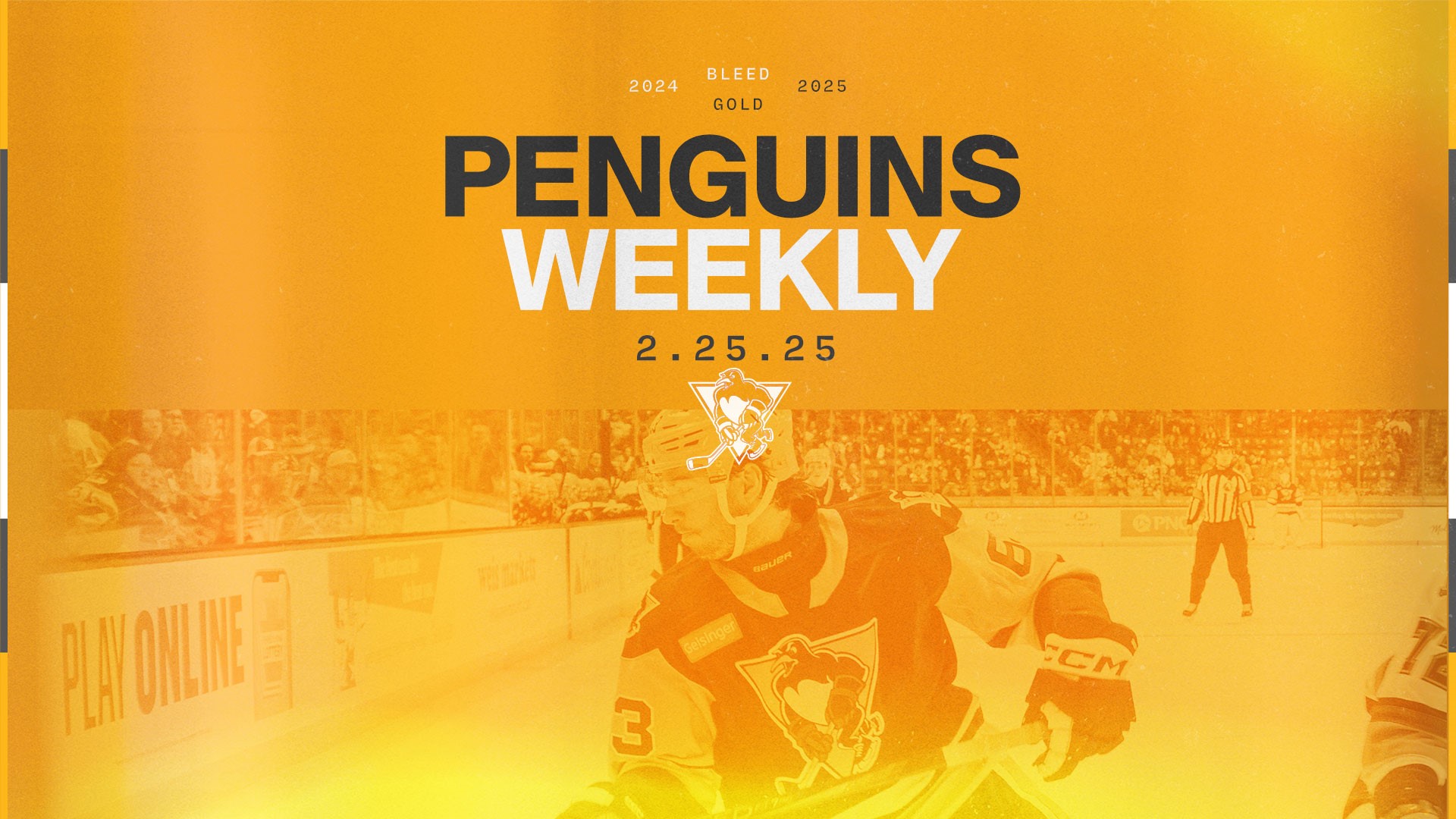 PENGUINS WEEKLY – 2/25/25